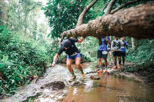 BIB: 
                            <button type="button" onclick="openModal(25375800)" class="btn btn-primary btn-sm float-right btn-popup" data-toggle="modal" data-target=".modal-high-quality">
                        <i class="fas fa-shopping-cart"></i> Add to Cart
                    </button>
                                            <button type="button" onclick="isThisMe(25375800, true)" class="btn btn-success btn-sm float-right btn-popup btn-isme hidden" data-toggle="tooltip" data-placement="bottom" title="นี่คือรูปของคุณใช่ไหม คลิกที่นี่เพื่อเอาเข้าอัลบั้ม">
                        <i class="fas fa-plus"></i> Add to album
                    </button>
                    <button type="button" onclick="isThisMe(25375800, false)" class="btn btn-warning btn-sm float-right btn-popup btn-isnotme hidden">
                        <i class="fas fa-ban"></i> Remove from album
                    </button>